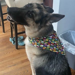 Colorful multi color XL tie dog bandana